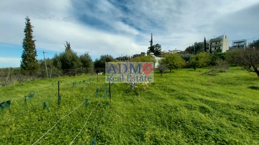 Οικόπεδο Καλέσα
