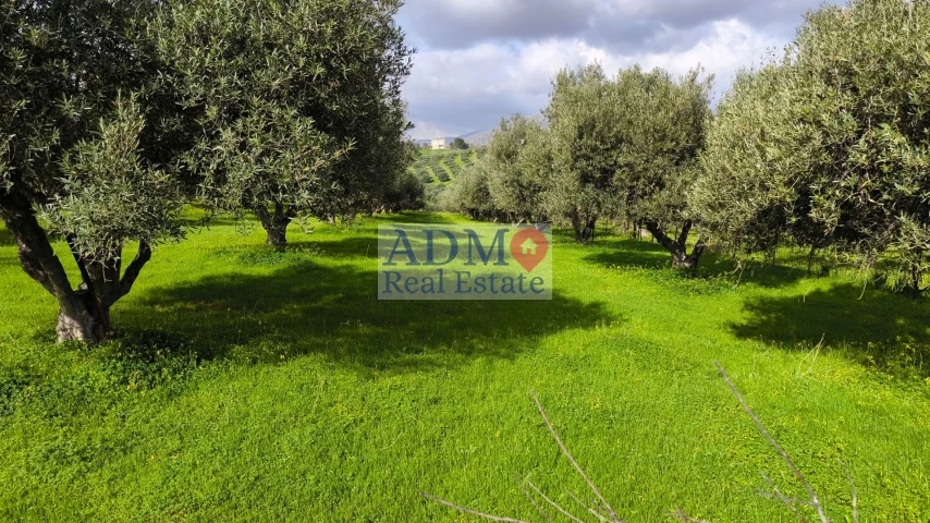 Αγροτεμάχιο αρτιο και οικοδομησιμο Ανω Καλέσα