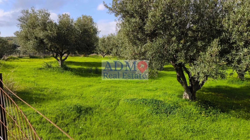 Πωλείται - Αγροτεμάχιο αρτιο και οικοδομησιμο Ανω Καλέσα
