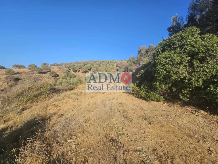 Πωλείται - Οικόπεδο με Θέα Αγία Πελαγία