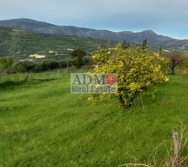 Πωλείται - Οικόπεδο Καλέσα