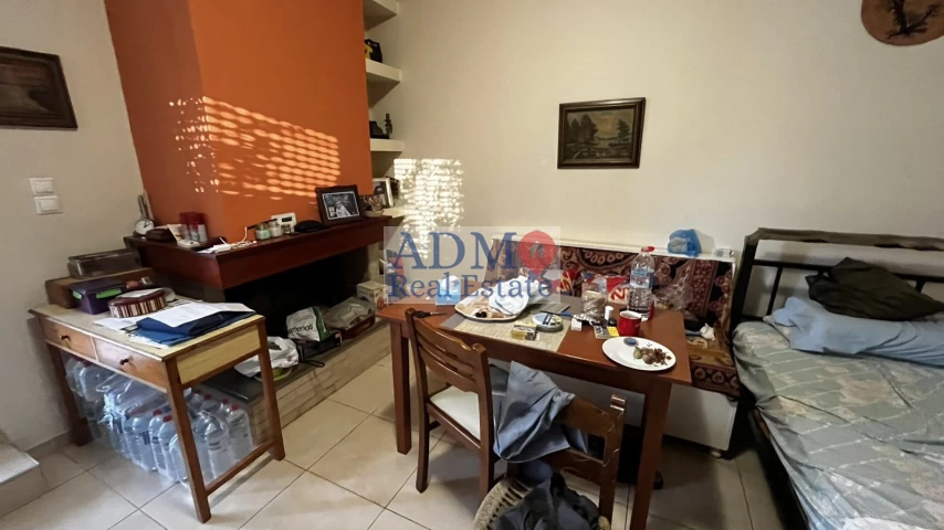 Πωλείται - Εξαιρετική Μονοκατοικία & Γκαρσονιέρα Μαραθίτης - Exceptional Detached House & Studio - Marathitis