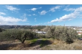 Οικόπεδο για πολλές χρήσεις Μαλάδες - 4