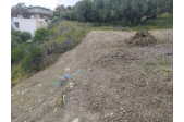 Βασιλειές εντός Οικισμού - 3