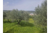 Μονοκατοικία Μαλάδες Ηρακλειο Κρητης Detached House Malades Heraklion Crete - 12