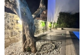 Βίλα πλήρως εξοπλισμένη Πισκοπιανό - 21