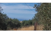 Οικόπεδο 3.193 τ.μ. Γούρνες Τεμένους (ΤΕΙ) εντός Οικισμού με Θέα - 1