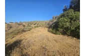 Οικόπεδο με Θέα Αγία Πελαγία - 2