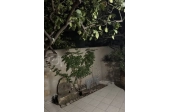Δυάρι πλήρως επιπλωμένο Μασταμπάς - 15