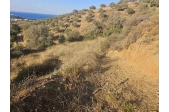 Οικόπεδο με Θέα Αγία Πελαγία - 4