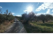 Οικόπεδο για πολλές χρήσεις Μαλάδες - 2